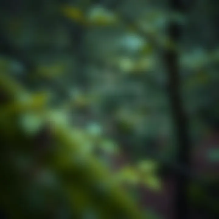 Diagram of a binary tree showing nodes arranged by levels from root to leaves