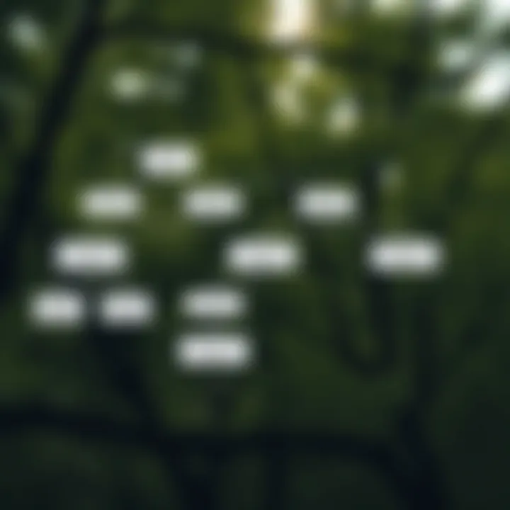 Flowchart showing recursive method to find Lowest Common Ancestor in a binary tree